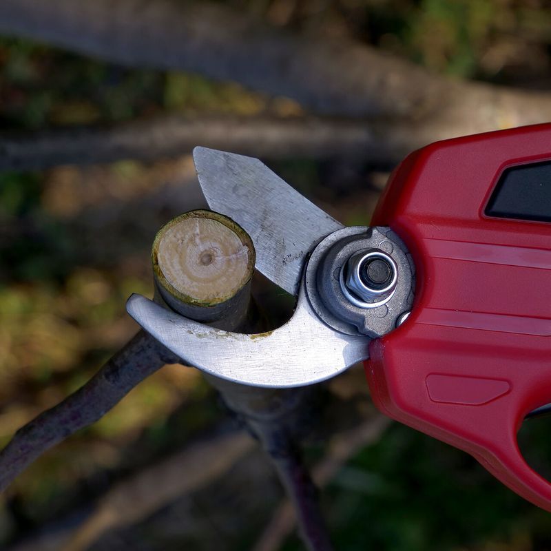 Casa si Gradina - Gradinarit si plante - Unelte gradinarit - Foarfeci gradinarit - Foarfeca electrica de gradina, cu acumulator, 1.5 Ah, 7.2 V, Strend Pro - Infinity.ro