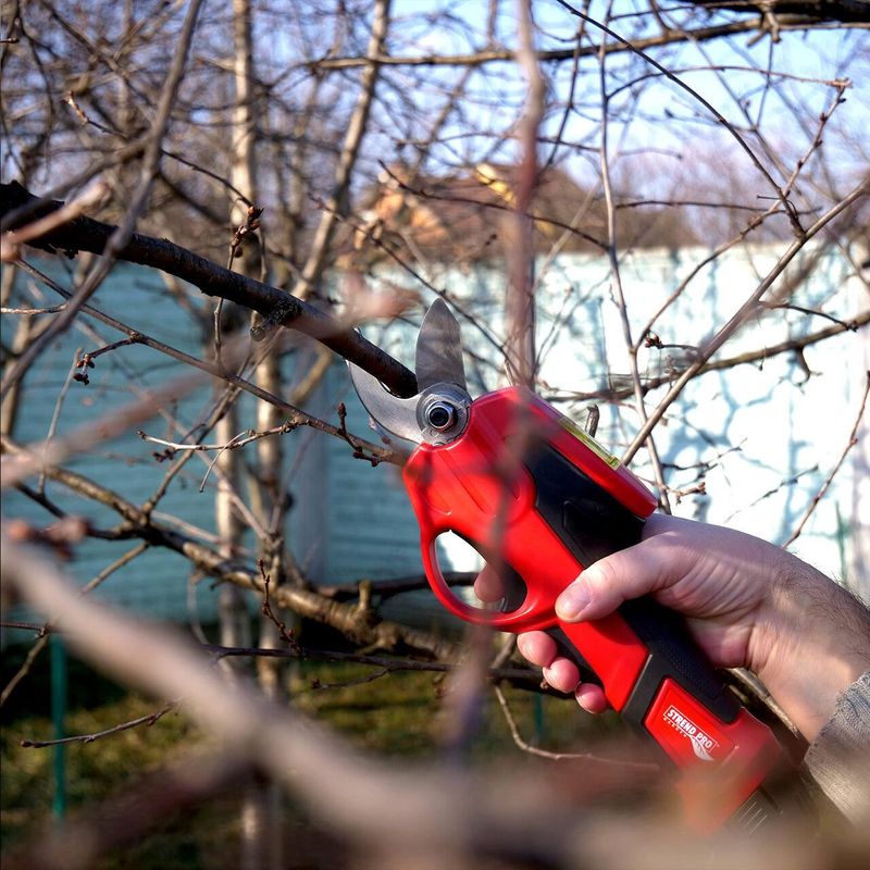 Casa si Gradina - Gradinarit si plante - Unelte gradinarit - Foarfeci gradinarit - Foarfeca electrica de gradina, cu acumulator, 1.5 Ah, 7.2 V, Strend Pro - Infinity.ro