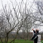 Casa si Gradina - Gradinarit si plante - Unelte gradinarit - Foarfeci gradinarit - Foarfeca crengi, tip bypass, maner lung, 210 cm, Strend Pro - Infinity.ro