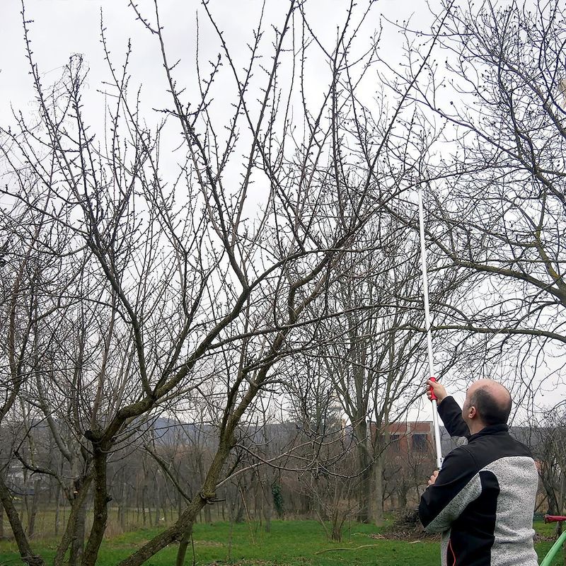 Casa si Gradina - Gradinarit si plante - Unelte gradinarit - Foarfeci gradinarit - Foarfeca crengi, tip bypass, maner lung, 210 cm, Strend Pro - Infinity.ro