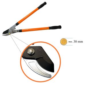 Casa si Gradina - Gradinarit si plante - Unelte gradinarit - Infinity.ro