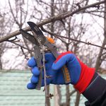 Casa si Gradina - Gradinarit si plante - Unelte gradinarit - Foarfeci gradinarit - Foarfeca gradina, tip nicovala, teflon, otel japonez SK5, 20 cm, Richmann Exclusive - Infinity.ro