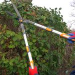 Casa si Gradina - Gradinarit si plante - Unelte gradinarit - Foarfeci gradinarit - Foarfeca gard viu, arbusti, tip bypass, lama teflonata, maner telescopic 71-83 cm, Richmann Exclusive - Infinity.ro