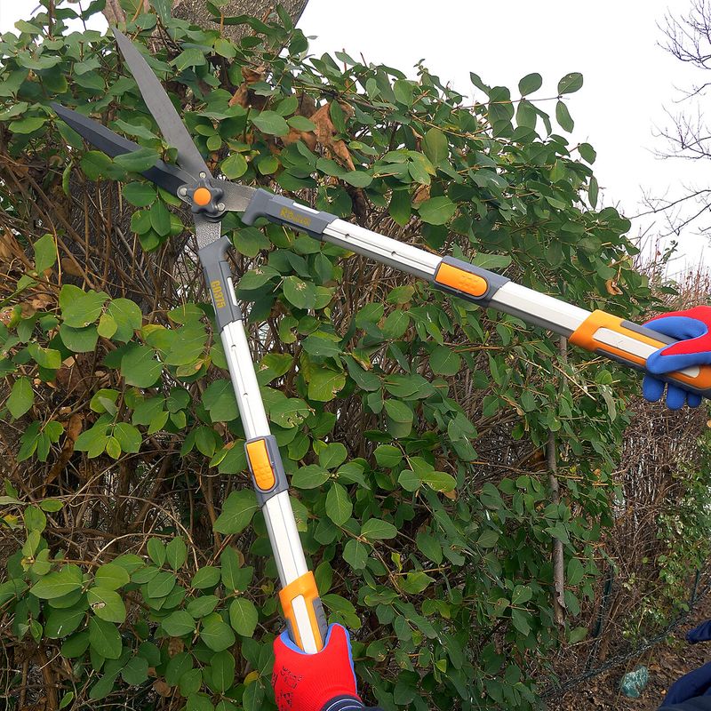 Casa si Gradina - Gradinarit si plante - Unelte gradinarit - Foarfeci gradinarit - Foarfeca gard viu, arbusti, tip bypass, lama teflonata, maner telescopic 71-83 cm, Richmann Exclusive - Infinity.ro