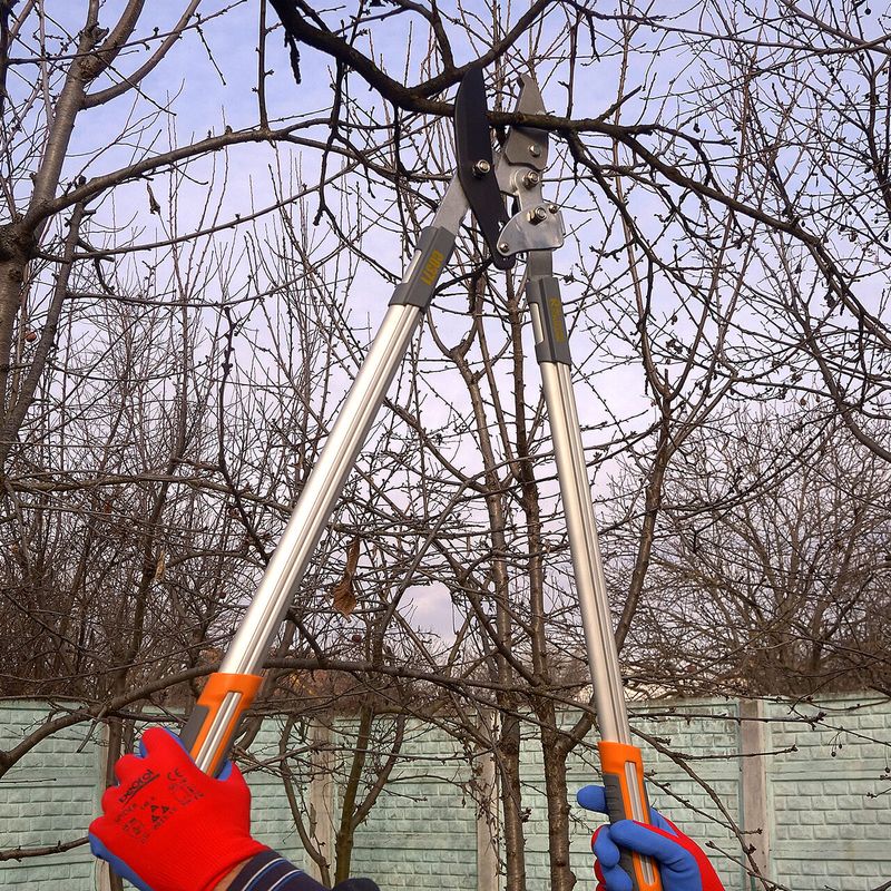 Casa si Gradina - Gradinarit si plante - Unelte gradinarit - Foarfeci gradinarit - Foarfeca crengi, tip nicovala, teflon, otel japonez SK5, 76 cm, Richmann Exclusive - Infinity.ro