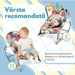 Casa si Gradina - Mobilier - Mobilier copii - Balansoare, leagane si hamace - Balansoar si scaun electric 3 in 1 pentru bebelusi, VisionHub®, Multifunctional cu Cantece si vibratii linistitoare - Infinity.ro