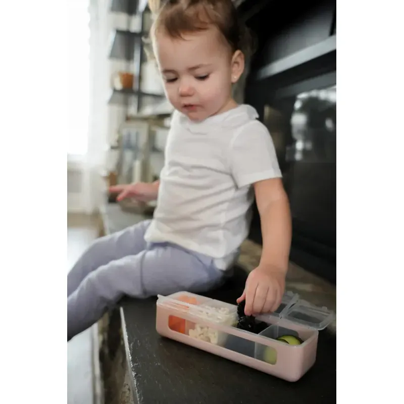 Jucarii, Copii si Bebe - Hrana si alaptare - Scaune de masa bebe - Cutie Snack 4 Compartimente, Melii, Roz - Infinity.ro