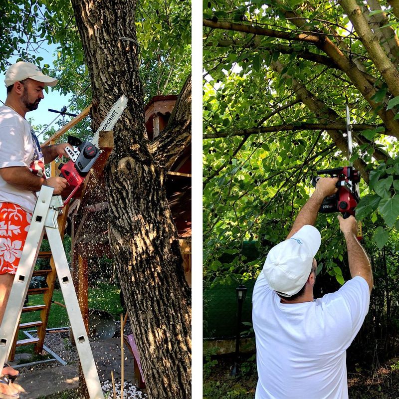 Casa si Gradina - Gradinarit si plante - Utilaje gradina - Fierastraie cu lant - Drujba electrica, 2x20V Li-ion (acumulatori neinclusi), 35 cm, Worcraft - Infinity.ro