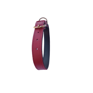 Petshop - Accesorii petshop - Zgarzi, lese si hamuri - Infinity.ro