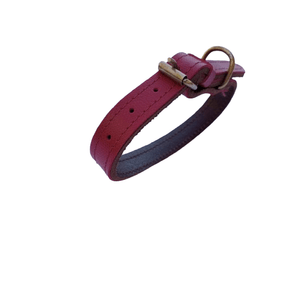 Petshop - Accesorii petshop - Zgarzi, lese si hamuri - Infinity.ro