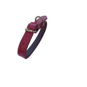 Petshop - Accesorii petshop - Zgarzi, lese si hamuri - Infinity.ro