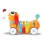 Jucarii, Copii si Bebe - Jucarii si jocuri - Jucarii bebelusi - Jucarii interactive bebelusi - Winfun Catelus Cu Telecomanda - Infinity.ro