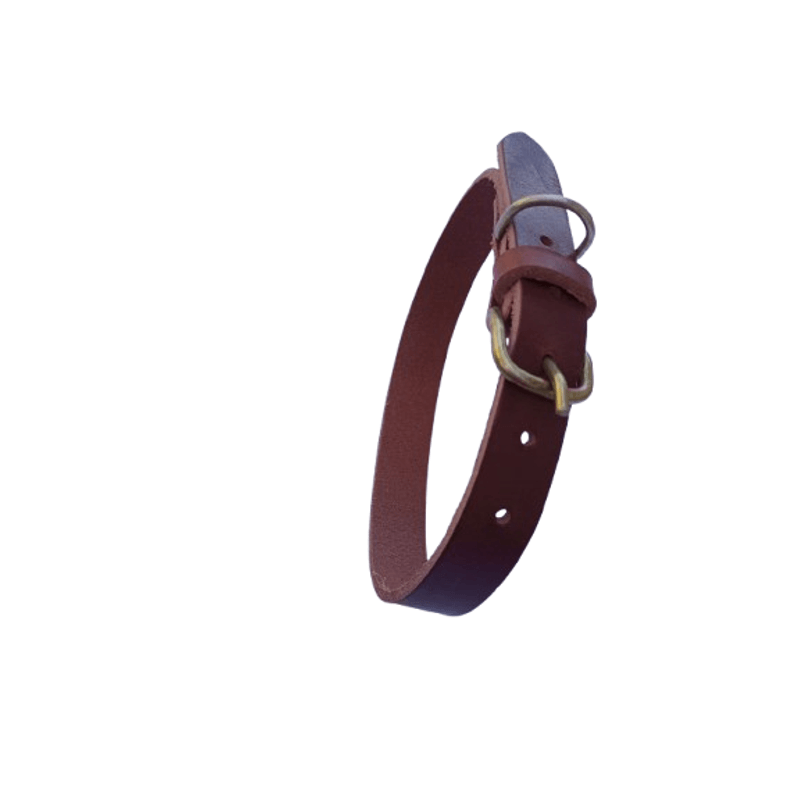 Petshop - Accesorii petshop - Zgarzi, lese si hamuri - Zgarzi - Zgarda pentru caini, piele naturala maro inchis 60 x 2.5 cm, ajustabila 39-49 cm - Infinity.ro