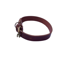 Petshop - Accesorii petshop - Zgarzi, lese si hamuri - Infinity.ro