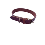 Petshop - Accesorii petshop - Zgarzi, lese si hamuri - Zgarzi - Zgarda pentru caini, piele naturala maro inchis 60 x 2.5 cm, ajustabila 39-49 cm - Infinity.ro
