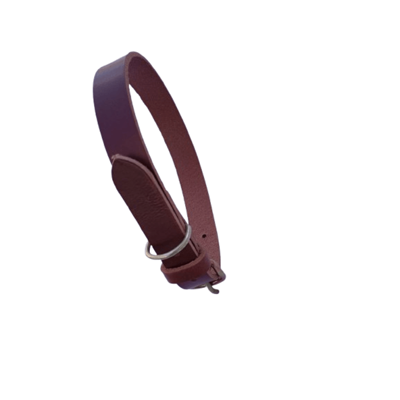 Petshop - Accesorii petshop - Zgarzi, lese si hamuri - Zgarzi - Zgarda pentru caini, piele naturala maro inchis 60 x 2.5 cm, ajustabila 39-49 cm - Infinity.ro