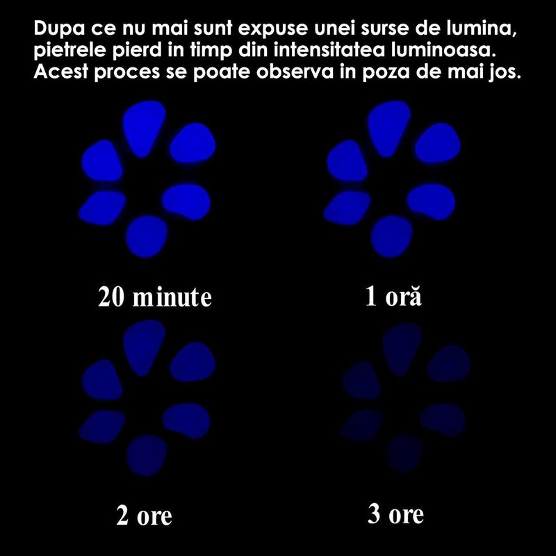 Casa si Gradina - Gradina si terasa - Mobilier exterior - Accesorii pentru gradina - Pietre de gradina, fosforescente, verzi, set 100 buc, 2/3 cm - Infinity.ro