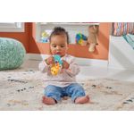 Jucarii, Copii si Bebe - Jucarii si jocuri - Jucarii bebelusi - Jucarii interactive bebelusi - Fisher price jucarie zornaitoare vidra - Infinity.ro