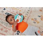 Jucarii, Copii si Bebe - Jucarii si jocuri - Jucarii bebelusi - Jucarii interactive bebelusi - Fisher price jucarie zornaitoare arici - Infinity.ro