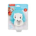 Jucarii, Copii si Bebe - Jucarii si jocuri - Jucarii bebelusi - Jucarii interactive bebelusi - Fisher price jucarie zornaitoare arici - Infinity.ro