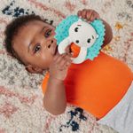 Jucarii, Copii si Bebe - Jucarii si jocuri - Jucarii bebelusi - Jucarii interactive bebelusi - Fisher price jucarie zornaitoare arici - Infinity.ro