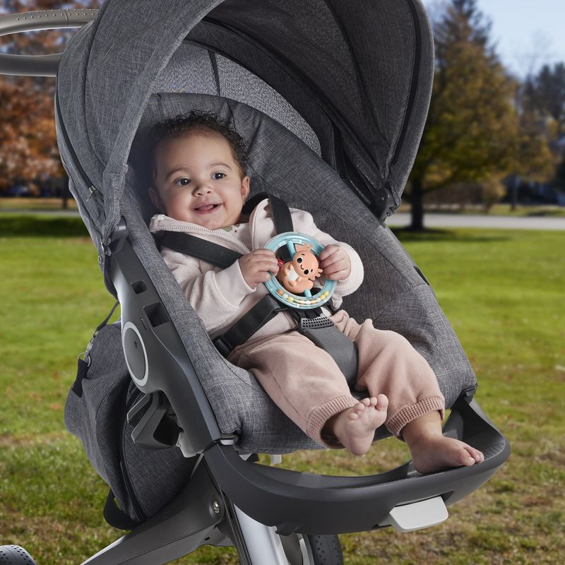 Jucarii, Copii si Bebe - Jucarii si jocuri - Jucarii bebelusi - Jucarii interactive bebelusi - Fisher price jucarie zornaitoare salamandra - Infinity.ro