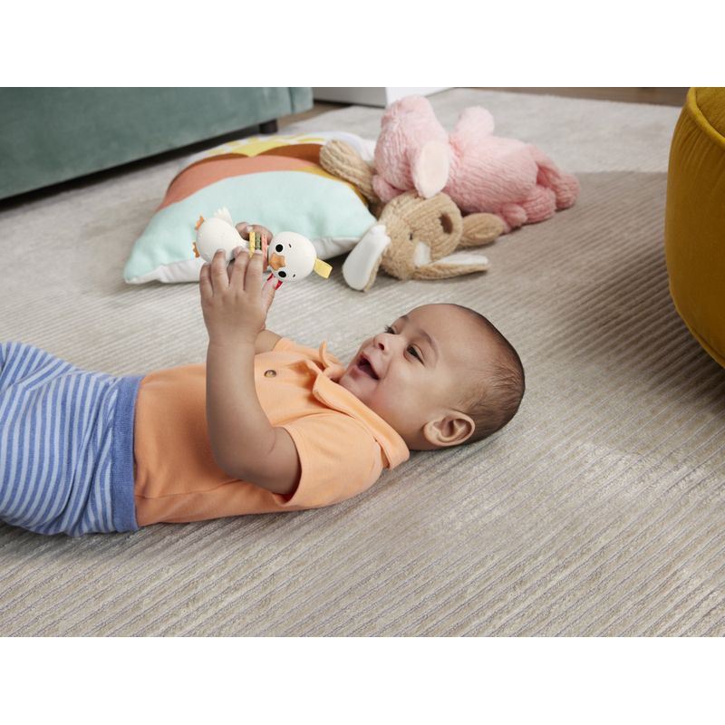 Jucarii, Copii si Bebe - Jucarii si jocuri - Jucarii bebelusi - Jucarii interactive bebelusi - Fisher price jucarie zornaitoare gasca - Infinity.ro