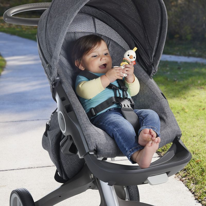 Jucarii, Copii si Bebe - Jucarii si jocuri - Jucarii bebelusi - Jucarii interactive bebelusi - Fisher price jucarie zornaitoare gasca - Infinity.ro