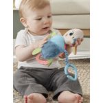 Jucarii, Copii si Bebe - Jucarii si jocuri - Jucarii bebelusi - Jucarii interactive bebelusi - Fisher price planet friends jucarie de agatat broscuta testoasa - Infinity.ro