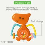 Jucarii, Copii si Bebe - Jucarii si jocuri - Jucarii bebelusi - Jucarii zornaitoare - Set 5 zornaitori dinozauri multicolori - Infinity.ro