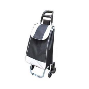 Geanta/carucior de cumparaturi pe roti, PE, PVC, EVA, 30 kg, 35x30x96 cm, Alfred