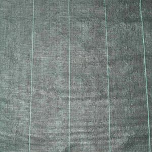 Casa si Gradina - Gradinarit si plante - Sere si solarii - Infinity.ro