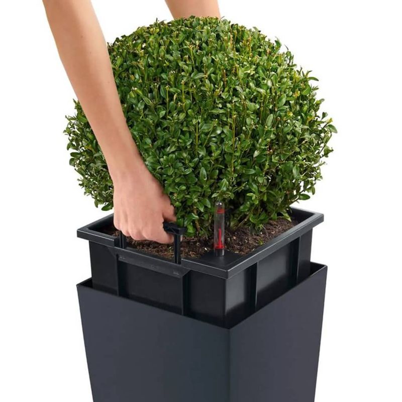 Casa si Gradina - Gradinarit si plante - Plante si ghivece - Ghivece si suporturi - LECHUZA Jardiniera CUBICO Color 22 ALL-IN-ONE, ardezie - Infinity.ro