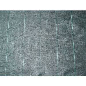 Casa si Gradina - Gradinarit si plante - Sere si solarii - Infinity.ro