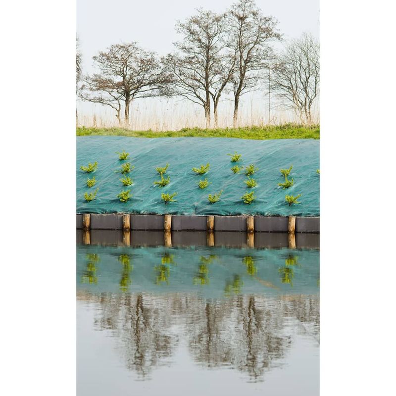 Casa si Gradina - Gradinarit si plante - Sere si solarii - Nature Folie antiburuieni pentru sol, verde, 3,3 x 5 m - Infinity.ro
