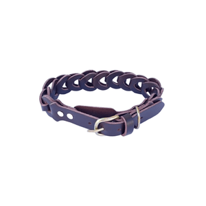 Petshop - Accesorii petshop - Zgarzi, lese si hamuri - Infinity.ro