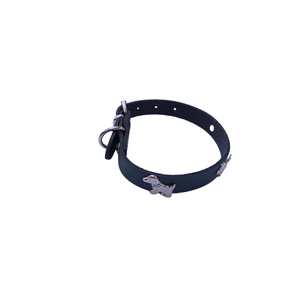 Petshop - Accesorii petshop - Zgarzi, lese si hamuri - Infinity.ro