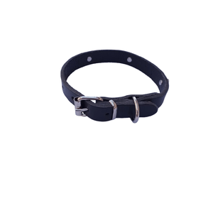 Petshop - Accesorii petshop - Zgarzi, lese si hamuri - Infinity.ro