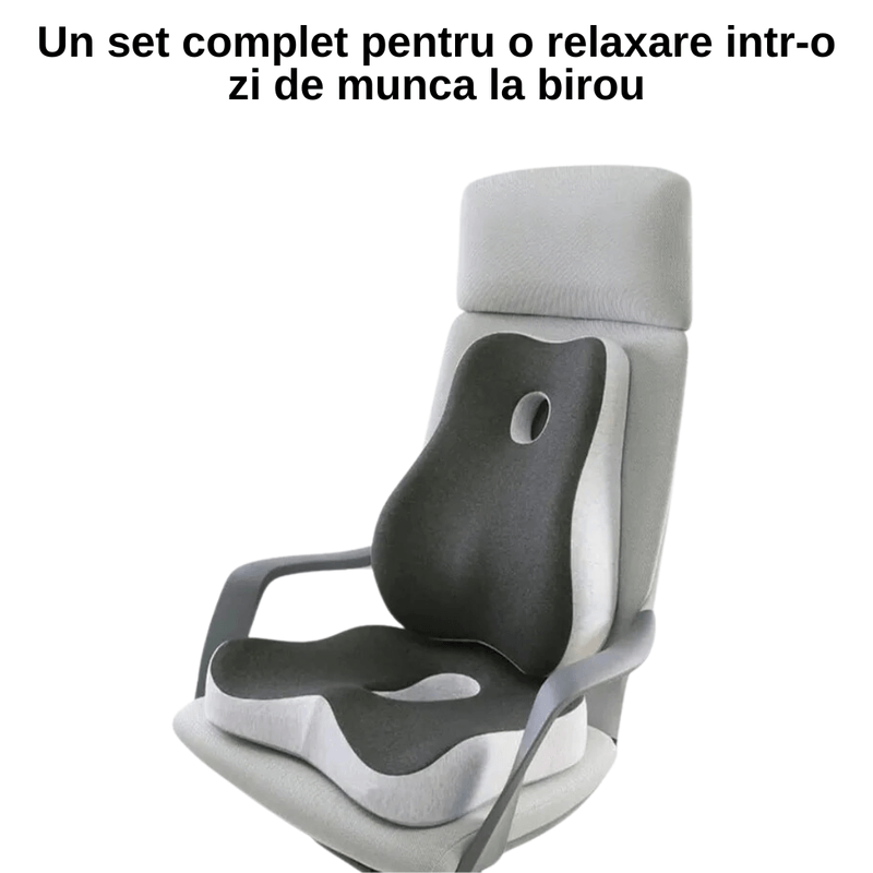 Casa si Gradina - Textile si covoare - Perne si pilote - Perne - Set 2 Perne Ortopedice LUDORA®, Spuma cu memorie Premium, Perna lombara completa & Perna sezut - Infinity.ro