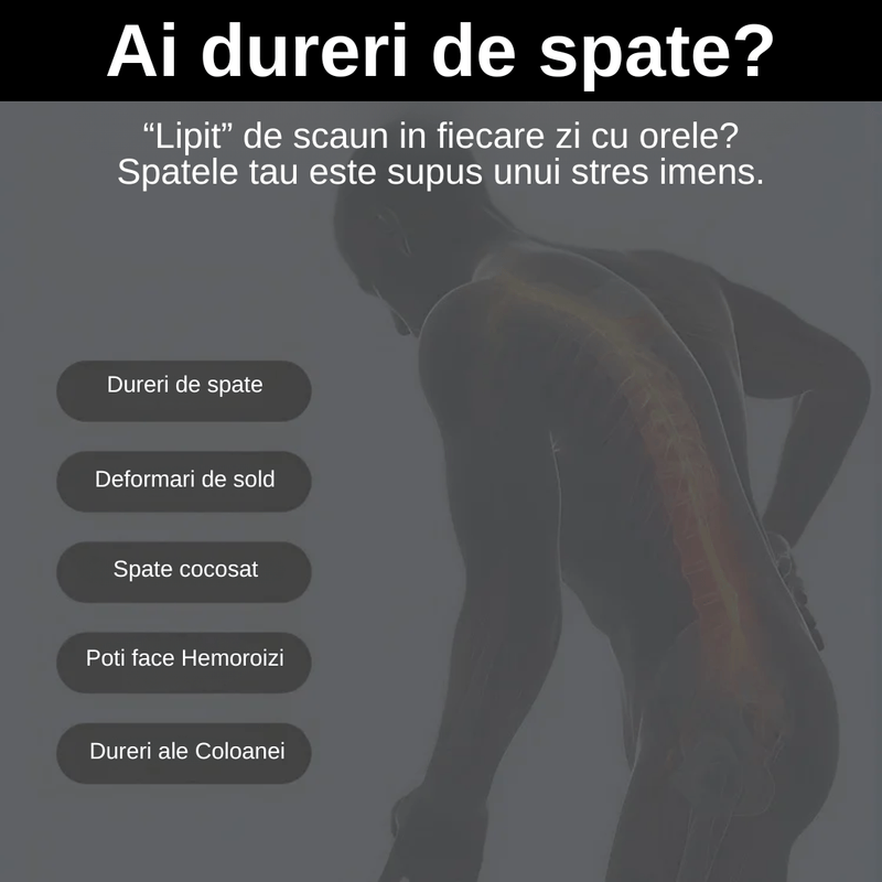 Casa si Gradina - Textile si covoare - Perne si pilote - Perne - Set 2 Perne Ortopedice LUDORA®, Spuma cu memorie Premium, Perna lombara completa & Perna sezut - Infinity.ro