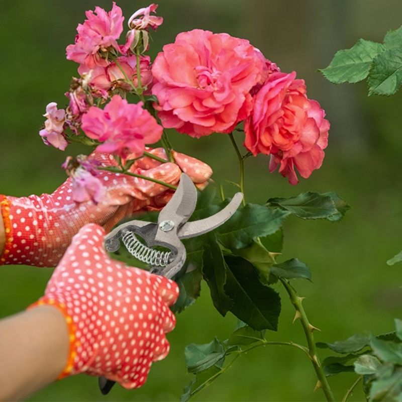 Casa si Gradina - Gradinarit si plante - Unelte gradinarit - Foarfeci gradinarit - Foarfeca pentru gradina, din otel forjat, lungime totala de 20.5cm, lama de 5.5cm, argintiu-negru - Infinity.ro