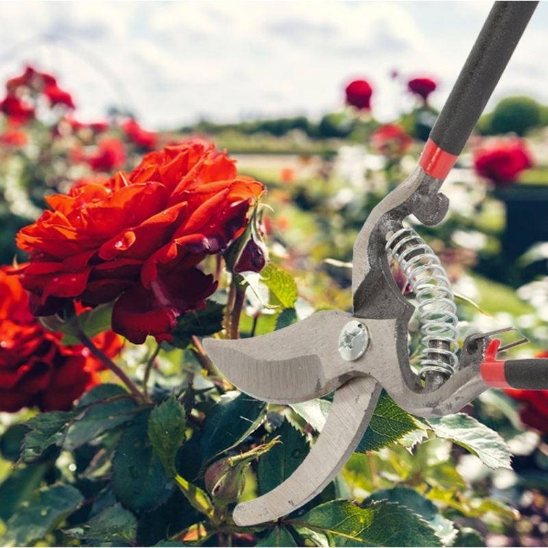 Casa si Gradina - Gradinarit si plante - Unelte gradinarit - Foarfeci gradinarit - Foarfeca pentru gradina, din otel forjat, lungime totala de 20.5cm, lama de 5.5cm, argintiu-negru - Infinity.ro