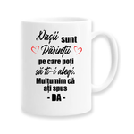 Casa si Gradina - Bucatarie si vesela - Cani si pahare - Cani si cesti - Cana alba personalizata "Nasii sunt parintii pe care poti sa...", INOVATIX®. 330ml - Infinity.ro