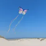 Jucarii, Copii si Bebe - Jucarii si jocuri - Jucarii de exterior - Zmeie si jucarii zburatoare - Zmeu Cel mai mare fluture - Infinity.ro