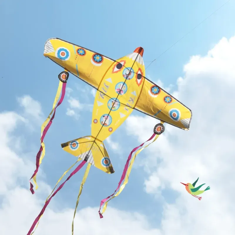 Jucarii, Copii si Bebe - Jucarii si jocuri - Jucarii de exterior - Zmeie si jucarii zburatoare - Zmeu Cel mai mare avion - Infinity.ro