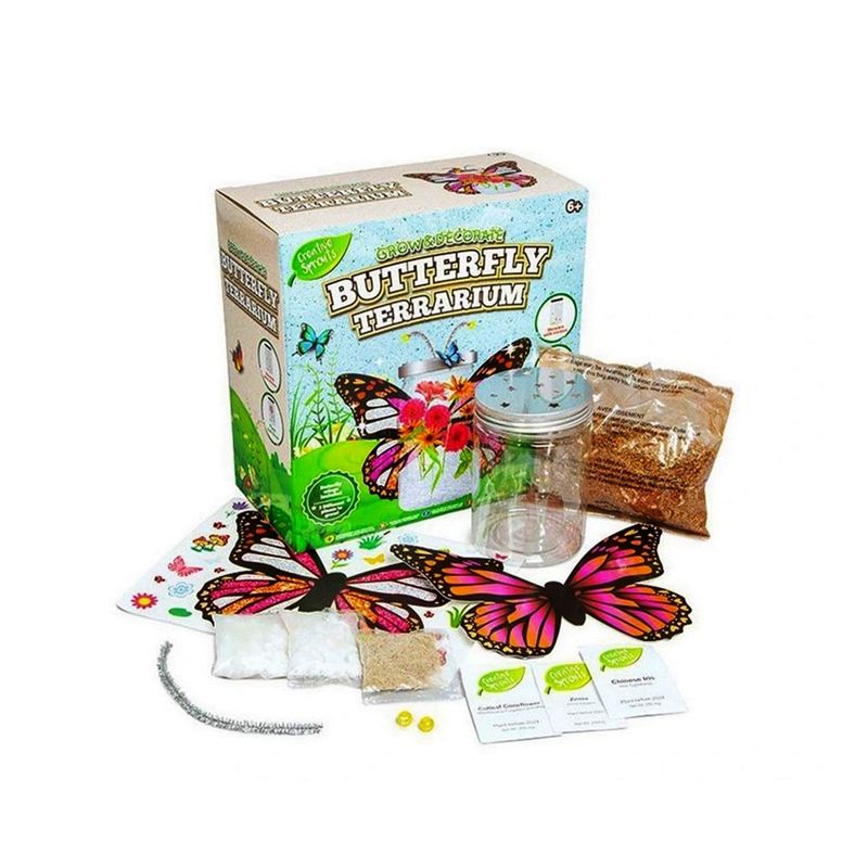 Jucarii, Copii si Bebe - Jucarii si jocuri - Jucarii & jocuri educative - Seturi de artizanat - Set terarium fluturi, RMS, 3 plante atrăgătoare, autocolante personalizare, multicolor, pentru 6 ani+, R03-0822 - Infinity.ro