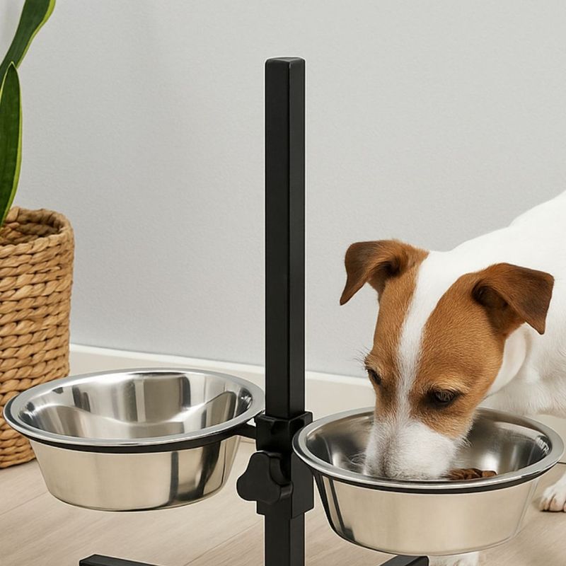 Petshop - Accesorii petshop - Castroane si adapatori - Set 2 boluri, pentru caini, cu suport, reglabil in inaltime, 1.8 L, argintiu, Dogs Collection - Infinity.ro