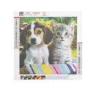 Jucarii, Copii si Bebe - Jucarii si jocuri - Jucarii & jocuri educative - Seturi de artizanat - Broderie, Pictura, Mozaic cu Diamante 30 x 30 M3 - Infinity.ro
