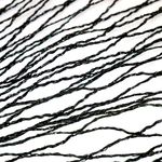 Casa si Gradina - Gradina si terasa - Mobilier exterior - Accesorii pentru gradina - Plasa pvc contra pasarilor, verde inchis, 12x25 m - Infinity.ro