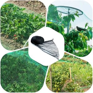 Casa si Gradina - Gradina si terasa - Mobilier exterior - Infinity.ro